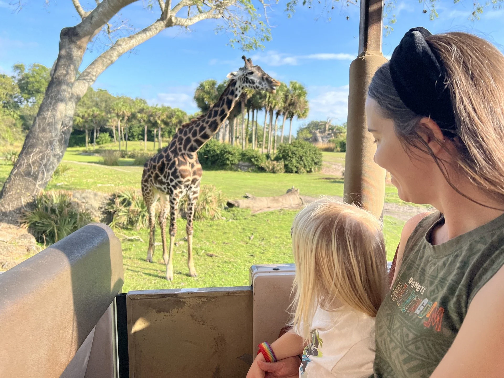 Orlando desde $885 por adulto - Imagen 4