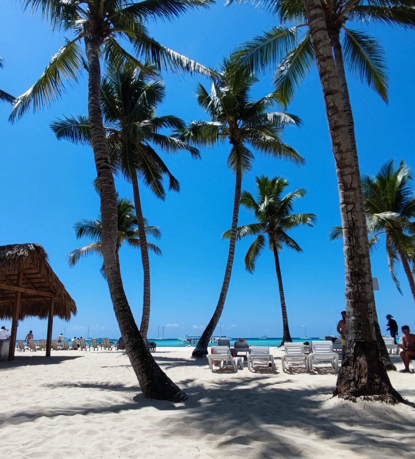 Isla Saona (Clásico)
