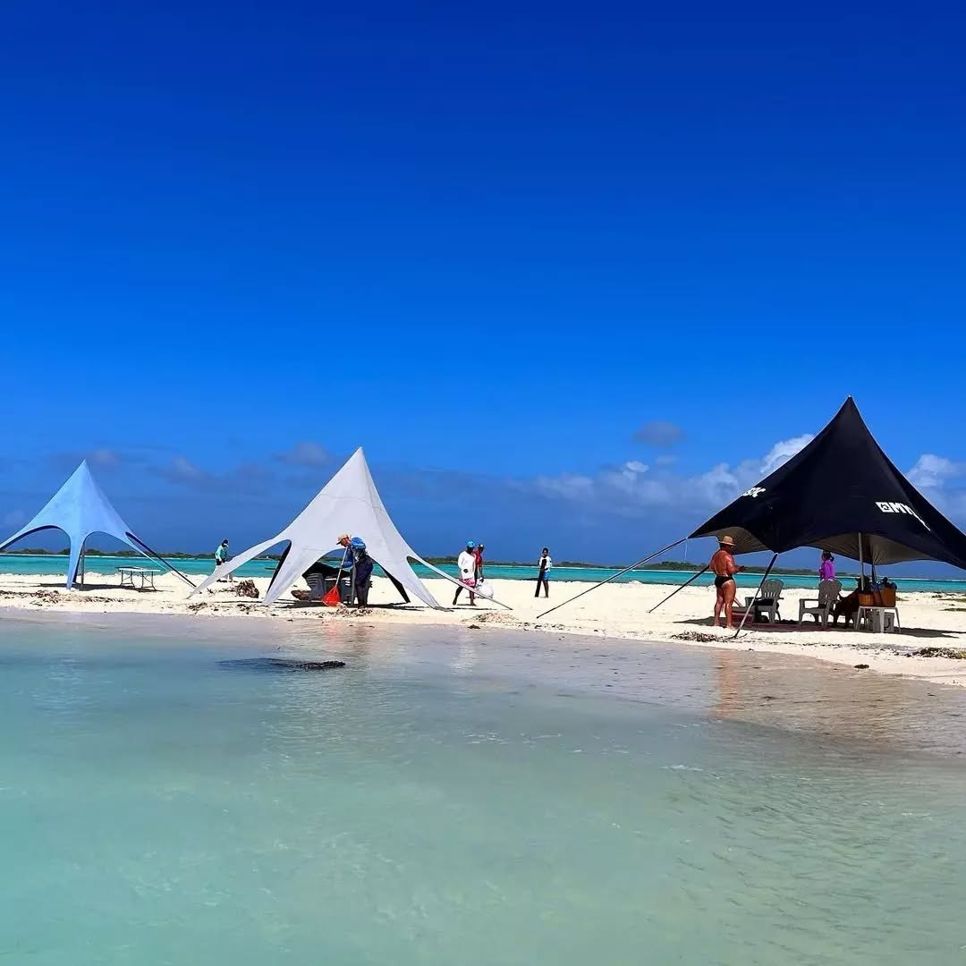 Temporada Baja desde $503