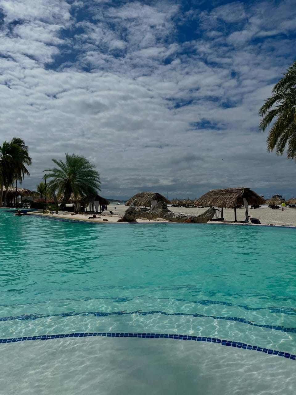 Coche a la carta - Imagen 3